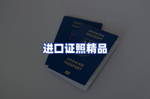 进口证件页面制证